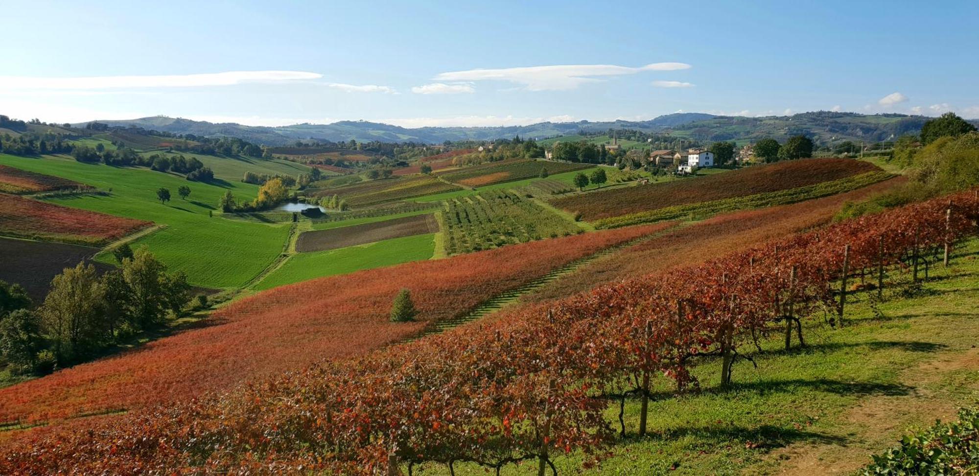 Agriturismo Opera 02 Castelvetro di Modena Exteriér fotografie
